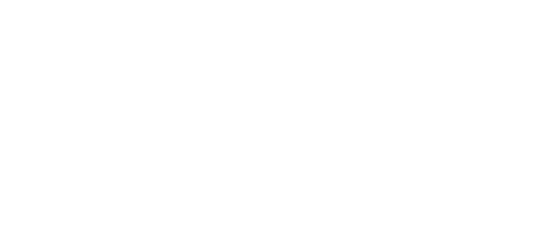 Adaptive Launch Solutions